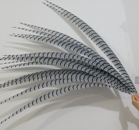Plumes de faisan zébré artificielles de 50-180 cm, teintes, accessoires vestimentaires pour costumes de danse