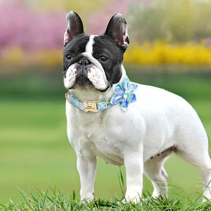 Collar de perro de liberación rápida de metal con correas de algodón ecológicas de color floral al por mayor Collar de perro ajustable floral de diseñador - Product Image 5