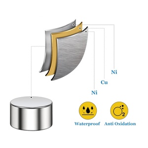 Assemblaggi a Trascinamento Magnetico, Freni a Correnti Parassite, Magneti Cilindrici Personalizzati in Neodimio <span class=keywords><strong>con</strong></span> Placcatura in Nichel - Product Image 2