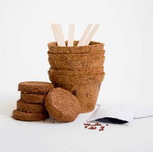 Mini Kit <span class=keywords><strong>de</strong></span> jardín <span class=keywords><strong>de</strong></span> hierbas moderno, maceta <span class=keywords><strong>de</strong></span> <span class=keywords><strong>brotes</strong></span> colgantes para centro comercial, Oficina <span class=keywords><strong>de</strong></span> escritorio y maceta <span class=keywords><strong>de</strong></span> vivero al por mayor - Product Image 6