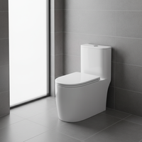 WC monobloc moderne en céramique à double chasse, chasse par siphon, fermeture douce, anti-éclaboussures, résistant au gel, siphon en S, accessoire de salle de bain