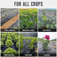 Toile de paillage perméable en PEHD robuste pour vergers agricoles, anti-vieillissement, anti-mauvaises herbes, en rouleau