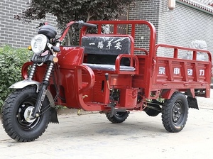 Triciclo agrícola refrigerado por agua del eje del cojinete de carga de la motocicleta 250cc de la <span class=keywords><strong>tres</strong></span>-Rueda de la carga - Product Image 4