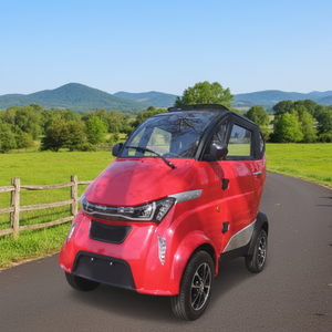 COC EEC認証取得済みの大人用コンパクト電気自動車、最高速度45km/h、エアコンとLCDダッシュボード付き - Product Image 2