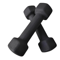 Ensemble d'haltères hexagonales en fonte réglables IUNNDS avec logo personnalisé, 0,5-10 kg, revêtement en caoutchouc antidérapant, équipement de gym, fourniture d'usine