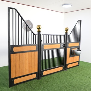 Cura del cavallo, bestseller per gli appassionati di equitazione nelle maggiori città europee, venduto a un prezzo contenuto ma con un cavallo di ottima qualità in vendita. - Product Image 2