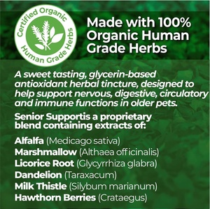 Gotas Orales Inmunitarias para Mascotas de Marca Privada OEM, Gotas Especiales para la Salud Nutricional e Inmunológica para Perros y Gatos - Product Image 3