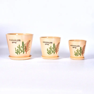 Maceta de cerámica de <span class=keywords><strong>cactus</strong></span> bellamente pintada al por mayor para jardín o uso doméstico para jardineras - Product Image 5