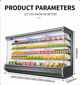 Enfriador de Aire de Una Sola Temperatura con Ventilador para Exhibición de Frutas y Verduras Frescas en Supermercados, con Estantes Ajustables - Product Image 2