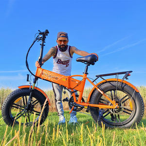 Vélo électrique pliable Engwe EP-2 BOOST, en stock dans les entrepôts UE et Royaume-Uni, livraison rapide, moteur arrière 750W 65Nm. - Product Image 1