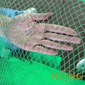 Filet anti-oiseaux agricole vert en HDPE personnalisé pour la protection des légumes et des fruits, idéal pour l'agriculture - Product Image 2