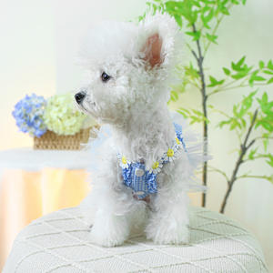 Offre Spéciale luxe ours en peluche été mince <span class=keywords><strong>Slip</strong></span> robe classique Polyester gaze jupe <span class=keywords><strong>pour</strong></span> femmes chiens mignon princesse lapin printemps - Product Image 3