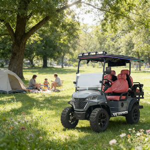 Voiturette de golf électrique à faible consommation d'énergie, très vendue en Europe et au Canada, 4 places, voiturette de golf électrique pour passagers - Product Image 1