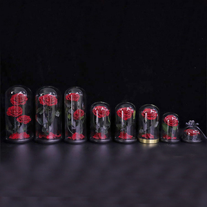 Cadeau haut de gamme tendance : Roses éternelles sous cloche en verre, <span class=keywords><strong>La</strong></span> <span class=keywords><strong>Belle</strong></span> <span class=keywords><strong>et</strong></span> <span class=keywords><strong>la</strong></span> Bête, fleur qui ne se décolore jamais. Parfait pour <span class=keywords><strong>la</strong></span> Saint-Valentin, <span class=keywords><strong>la</strong></span> fête des mères - Product Image 5