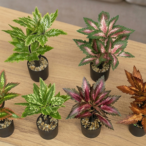 Ensemble de plantes succulentes artificielles tropicales variegées en pot, décoration intérieure, bureau, table, idée cadeau, qualité supérieure - Product Image 5