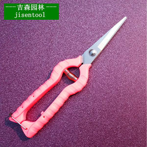 Sécateur de taille pour glycine de montagne de Taïwan 62, tête droite, en acier inoxydable, design papillon, pour la taille des vigne fruitières - Product Image 2