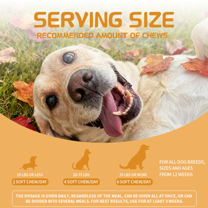 Suppléments à mâcher doux pour la cognition des chiens, DHA + Ginkgo Biloba, améliore la cognition de la mémoire, soutien cérébral du vieillissement des chiens âgés - Product Image 5