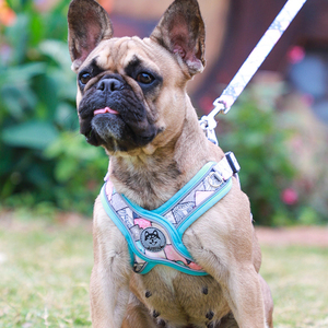 Venta al por mayor de lujo ajustable reflectante de seguridad transpirable <span class=keywords><strong>Sexy</strong></span> diseñador paso en mascota chaleco perro arnés y correa conjunto - Product Image 2