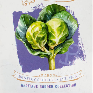 ซองกระดาษคราฟท์พิมพ์ลายตามสั่งสำหรับ<span class=keywords><strong>เมล็ด</strong></span>บรัสเซลส<span class=keywords><strong>ป</strong></span>รูท บรรจุภัณฑ์ฉลากส่วนตัว โซลูชั่นขายปลีกแบบขายส่ง - Product Image 1