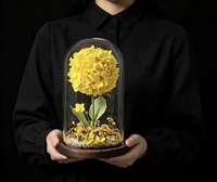 Suvenir Pernikahan Pengiring Pengantin Souvenir Perusahaan Hadiah Promosi Bisnis Set Hadiah Natal Bunga Hydrangea Awet dalam Kubah Kaca