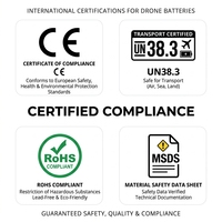 Batteries semi-solides 6S 800 cycles pour drones RC FPV UAV DHC DHC043 de 7/10/13/15 pouces, 8000 mAh, format pochette liquide