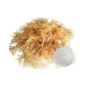 半精製カラゲナンイオタ精製カラゲナンカッパ - Product Image 3