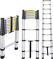Échelle télescopique en aluminium 3,8 m, échelle simple à extension droite, portable, pour usage domestique