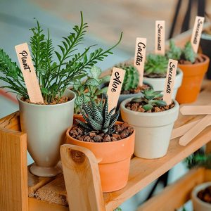 Touchfive — marqueurs de plantes écologiques à types d'arbre, pour graines, herbes en pot, fleurs et légumes, étiquettes de plantes en bambou - Product Image 6