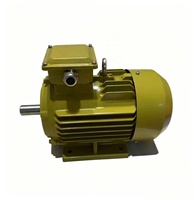 Moteur asynchrone triphasé 5,5 kW 4 pôles 380 V haute puissance pour ventilateur