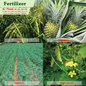 Kenvos <span class=keywords><strong>K</strong></span> - NUTRI Fertilizante Compuesto Soluble en Agua NPK 20-30-20 +TE - Product Image 3