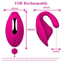 Spezieller USB-Aufladbarer Kleiner Dinosaurier-Saugvibrator mit Heizfunktion in Roter Box