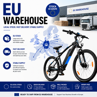 Fabricant de vélos électriques OEM - livraison rapide et gratuite, meilleurs services après-vente et garantie EU pour la croissance de votre entreprise