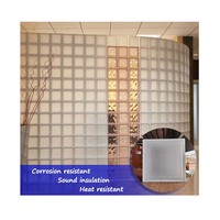 Bloc de verre opaque blocs de verre creux décoratifs gravés à l'acide 190x190x80mm bloc de verre de construction givré carré MISTY DIRECT
