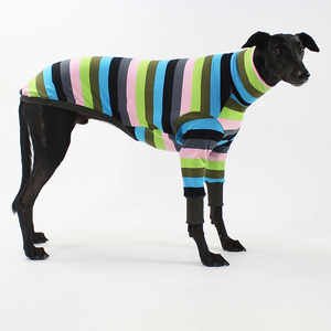 Jersey de chándal con cuello de tortuga para perros grandes, <span class=keywords><strong>ropa</strong></span> italiana de 2 piernas, talla xxxl, Primavera - Product Image 6