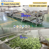 Baiyu industriële bladgroenteblancheringsmachine voor spinazie, sla en boerenkool verwerkingsinstallatie met PLC-besturing