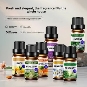 Single Aromatherapy 10ml Essential <b>Oil</b> Set <b>Diffusion</b> Stone Pure Plant-based Fresh Fruity Air Refreshing Deodorization Lasting - Product Image 3
