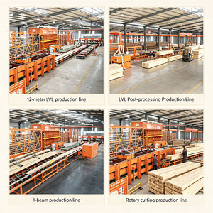 Bois lamellé-collé LVL en pin robuste anti-déformation pour poutres de plancher, charpentes, âmes de portes et planches d'échafaudage - Product Image 4