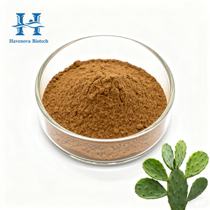 Prix de gros Extrait de <span class=keywords><strong>cactus</strong></span> Nopal biologique en poudre Complément alimentaire 10:1 20:1 Poudre d'extrait de <span class=keywords><strong>cactus</strong></span> pour compléments alimentaires - Product Image 1