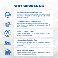 Estación de Trabajo Robótica Colaborativa WB-30 para Empaque de Cajas, Máquina Cobot Automática para Empacar Cartones, Componentes Electrónicos PLC, Metal y Papel