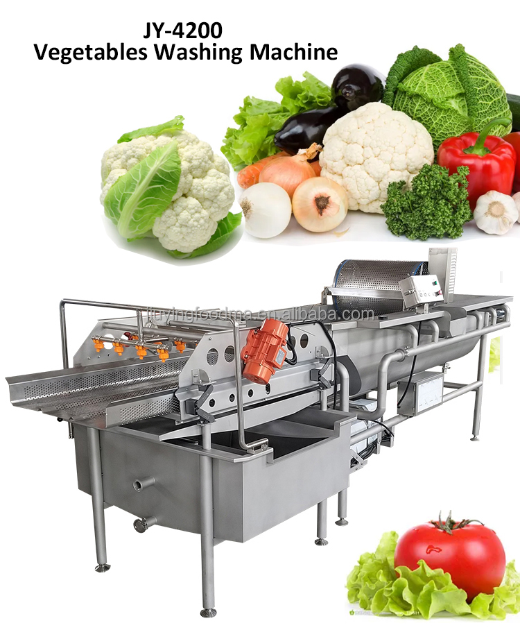 SUS 304 Stainless Steel Industrial Vegetable Washer Machine with 600KG Weight