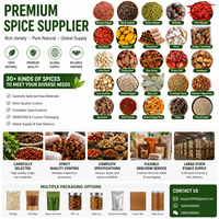 Poivre noir entier séché en vrac de qualité alimentaire, formule naturelle à base de plantes, certifié ISO 22000, saveur chinoise, vente en gros