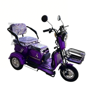Tricycle électrique à 3 roues pas cher de 1000 W, carrosserie ouverte, haute vitesse, robuste, pour adultes