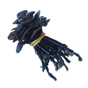 Champignons Ganoderma sauvages naturels à longues pattes, Ganoderma fins poussant dans les forêts de bambou à vendre - Product Image 1