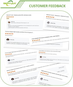 Meilleur Fournisseur Chine Thé Vert Matcha en Poudre Biologique Kasher Halal Certifié Santé Minceur Spécialité Prix Compétitif Boîte - Product Image 5