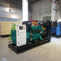 Geräuscharmer Stromgenerator Biogas Erdgas 24V DC Elektrostart Hocheffizient für Industrielle Nutzung Automatischer Start Erdgasgenerator