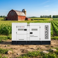 Générateurs diesel super silencieux Goldlink Power 100KVA 80KW, triphasés AC 415V, système de refroidissement par eau, certifiés CE avec option ATS