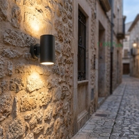 Applique murale extérieure LED de Noël RGB/RBGW étanche haute puissance avec télécommande WiFi