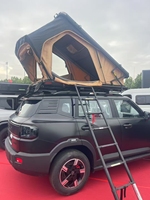 Tente de toit légère et facile à installer pour véhicule, avec structure en panneaux alvéolaires en aluminium, échelle extensible, structure à deux couches, quatre saisons