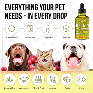 Gocce multivitaminiche liquide per cani quotidiano glucosamina acido folico vitamina B C <span class=keywords><strong>D3</strong></span> supporto Immune Allergies-1g per la salute dell'intestino cutaneo - Product Image 3