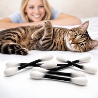 Jouet interactif pour chat en feutre de laine pure avec coton-tige et herbe à chat, pour le nettoyage des dents, le soulagement de l'ennui et le jeu olfactif